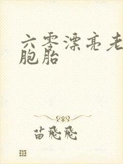 六零漂亮老婆三胞胎