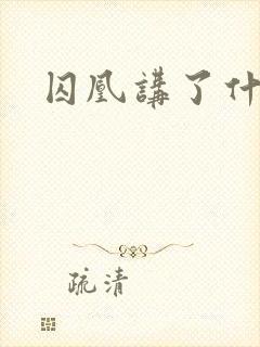 囚凰讲了什么封面