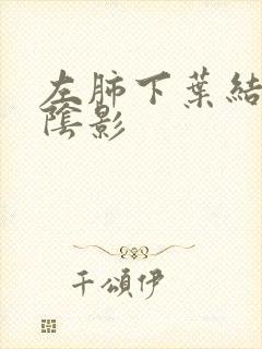 左肺下叶结节状阴影