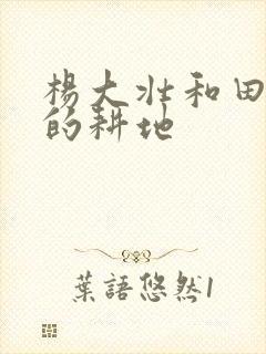 杨大壮和田桂花的耕地