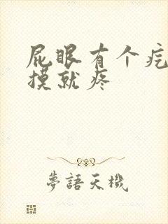 屁眼有个疙瘩一摸就疼封面