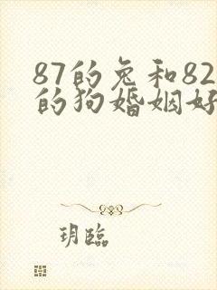 87的兔和82的狗婚姻好不好