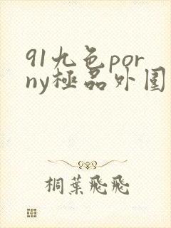 91九色porny极品外围在线观看
