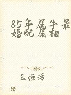 85年属牛最佳婚配属相