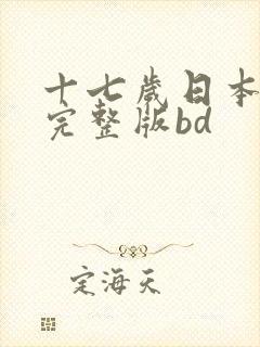 十七岁日本免费完整版bd封面
