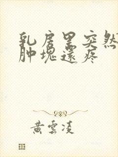 乳房里突然有个肿块还疼