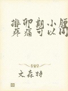 排卵期小腹坠胀疼痛可以同房吗封面