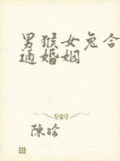 男猴女兔合不合适婚姻