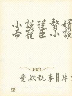 小说从赘婿到女帝宠臣小说