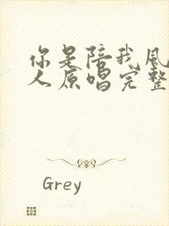 你是陪我风雨的人原唱完整版