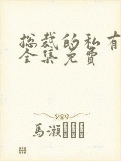 总裁的私有宝贝全集免费