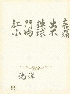 肛门掉出来一个小肉球不痛不痒