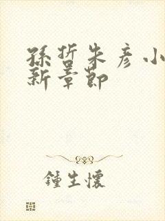 孙哲朱彦小说最新章节