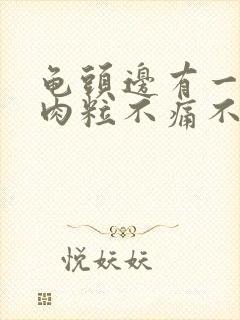 龟头边有一圈小肉粒不痛不痒