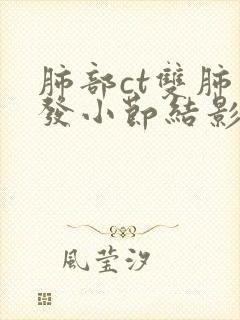 肺部ct双肺多发小节结影