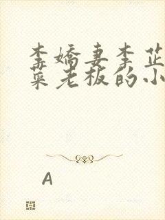 李娇妻李芷珊和菜老板的小说