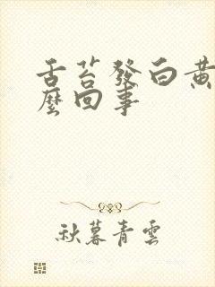 舌苔发白黄厚怎么回事