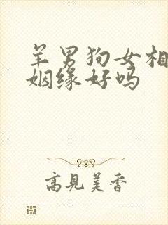 羊男狗女相配的姻缘好吗