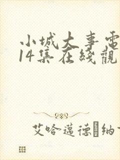 小城大事电视剧14集在线观看全集