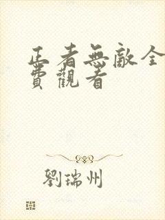 正者无敌全集免费观看