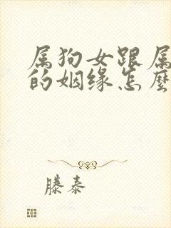 属狗女跟属鸡男的姻缘怎么样