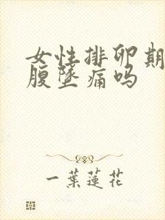 女性排卵期会小腹坠痛吗