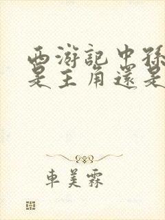 西游记中孙悟空是主角还是唐僧是主角