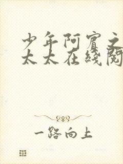 少年阿宾之房东太太在线阅读封面