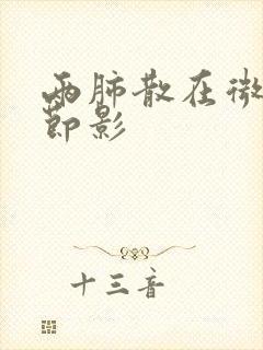 两肺散在微小结节影