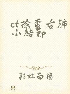 ct检查右肺微小结节