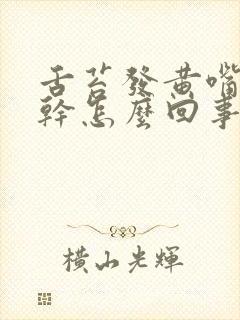 舌苔发黄嘴巴发干怎么回事