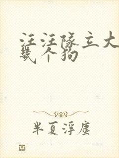 汪汪队立大功有几个狗