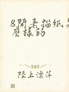 8开素描纸是什么样的