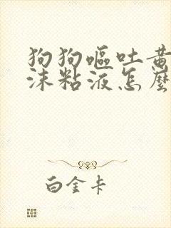 狗狗呕吐黄水泡沫粘液怎么回事