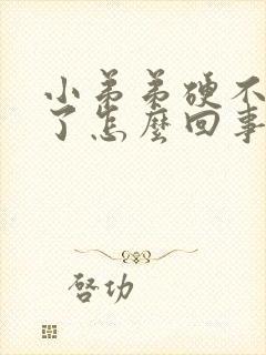 小弟弟硬不起来了怎么回事