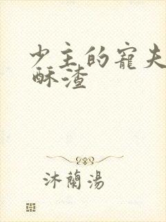 少主的宠夫女尊 酥渣封面