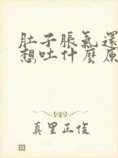 肚子胀气还恶心想吐什么原因