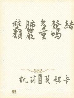 双肺多发结节2类严重吗