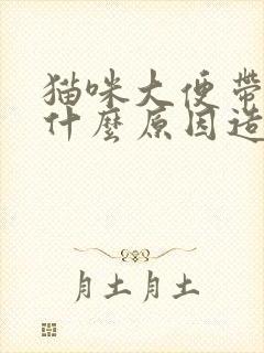 猫咪大便带血是什么原因造成