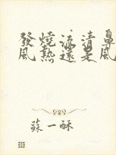 发烧流清鼻涕是风热还是风寒