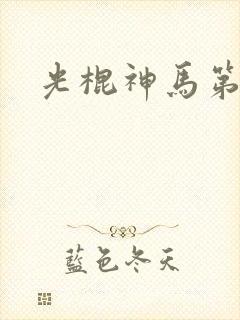 光棍神马第九
