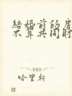 结婚前的房子算不算共同财产封面