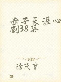赤子天涯心电视剧38集