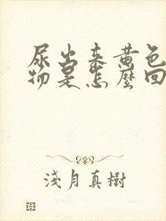 尿出来黄色浑浊物是怎么回事