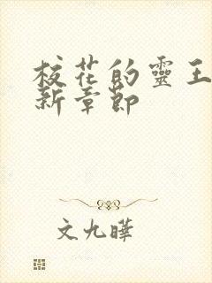 校花的灵王保镖新章节