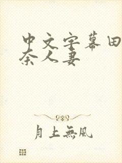 中文字幕田中杏奈人妻封面