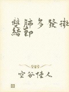 双肺多发微及小结节