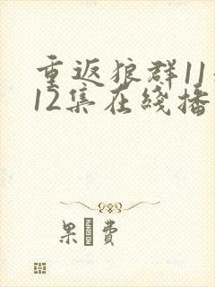 重返狼群11和12集在线播放