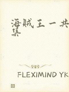 海贼王一共多少集封面