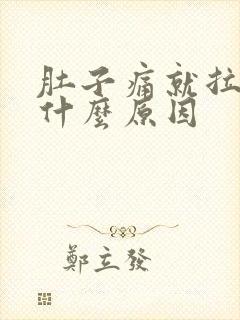 肚子痛就拉大便什么原因